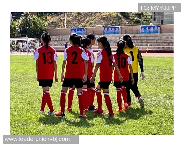 花式足球舞的魅力与技巧探秘让你在绿茵场上尽显风采