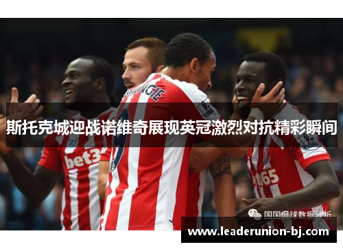 斯托克城迎战诺维奇展现英冠激烈对抗精彩瞬间