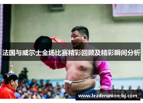 法国与威尔士全场比赛精彩回顾及精彩瞬间分析